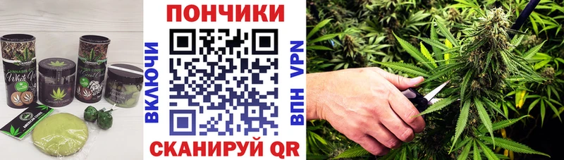 Canna-Cookies марихуана  Элиста 