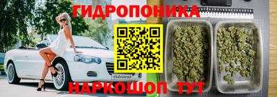 винт Камышлов