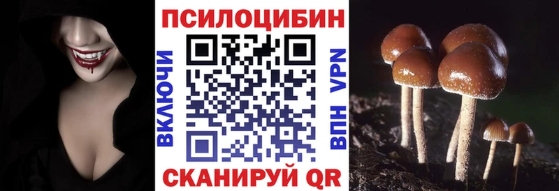 гидра рабочий сайт  Элиста  Псилоцибиновые грибы Psilocybine cubensis 