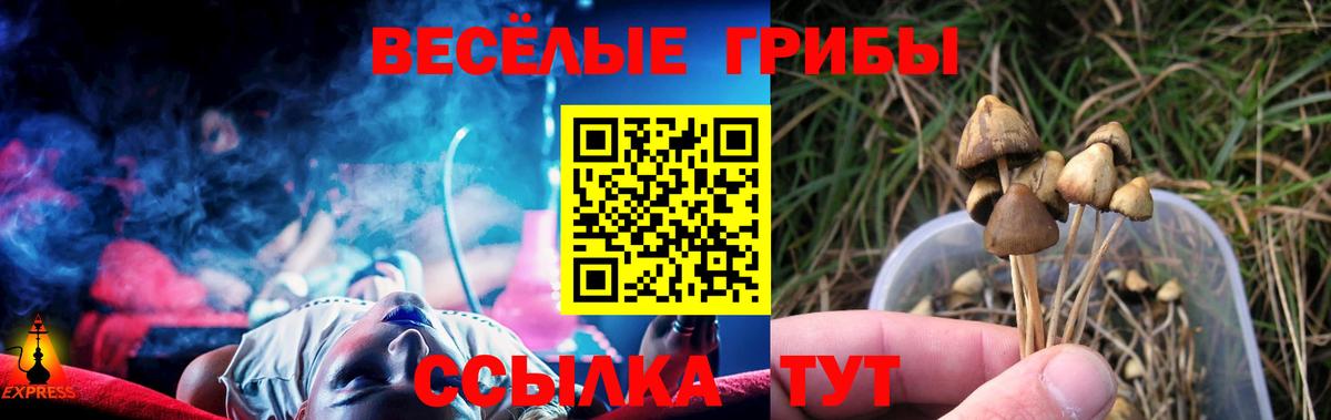 Галлюциногенные грибы ЛСД  Вход с VPN  Элиста  Псилоцибиновые грибы Cubensis 