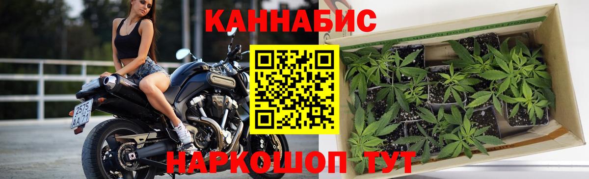 МАРИХУАНА AK-47  Каннабис индика  Элиста  Бошки марихуана планчик  Вход с VPN 
